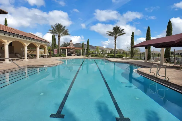 a view of a patio with couches potted plants and a large tree