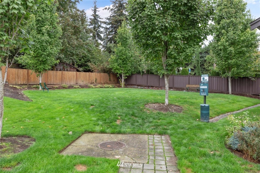 111 164th Place Southeast Bothell, WA 98012 - Photo 26 of 27 a view of backyard with green space