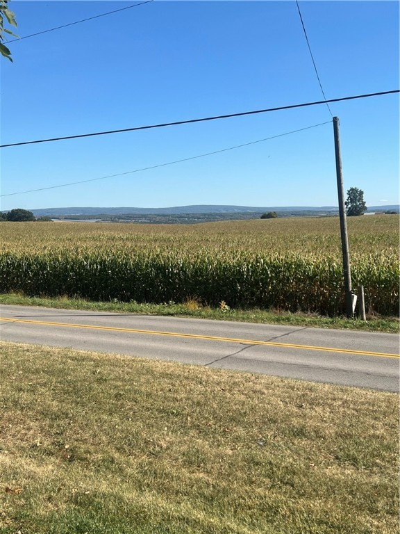 7565 Schenck Road Castile, NY 14530 - Photo 8 of 30