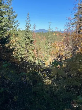 $65,000 | Tbd Glacir Drive, St. Maries, ID 83861