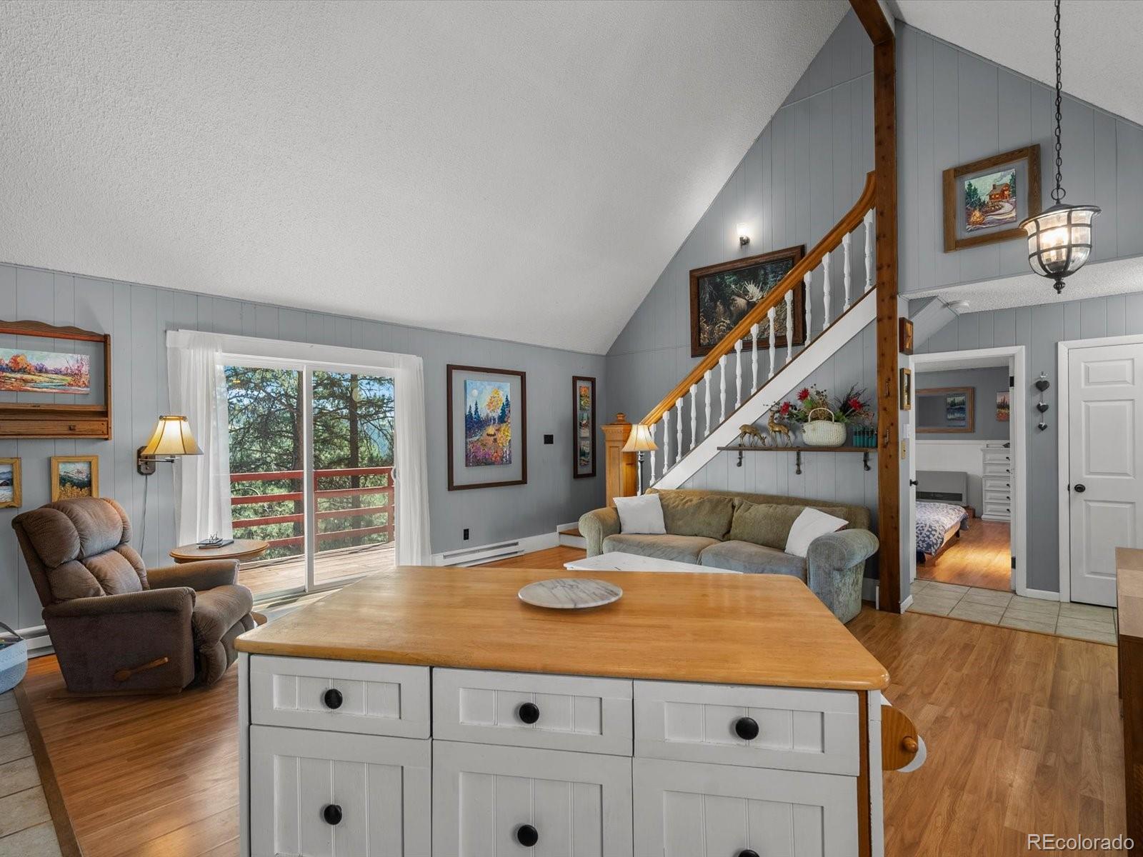 2137 Roland Drive Bailey, CO 80421 - Photo 32 of 39 Gallery Image 32