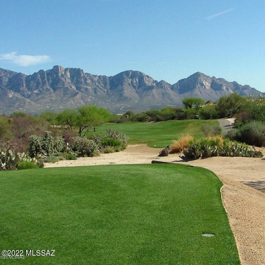 13763 North Buster Spring Way Oro Valley, AZ 85755 - Photo 40 of 50