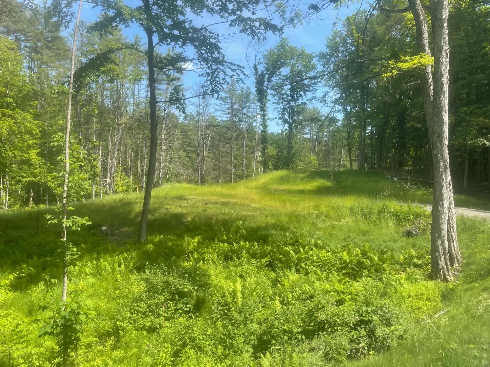 932 Middle Road Dummerston, VT 05301 - Photo 11 of 24