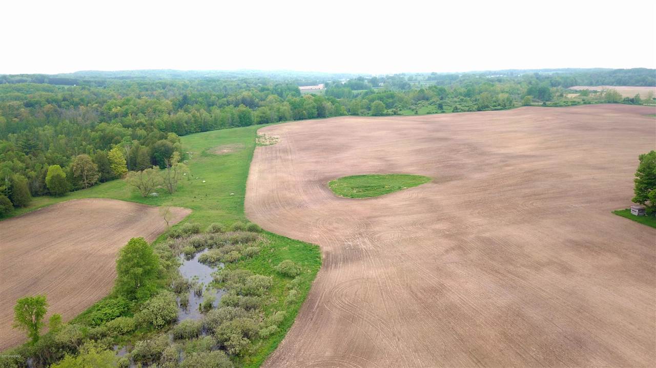 Tbd 7 Mile (86.47 Acres) Road Remus, MI 49340 - Photo 21 of 29