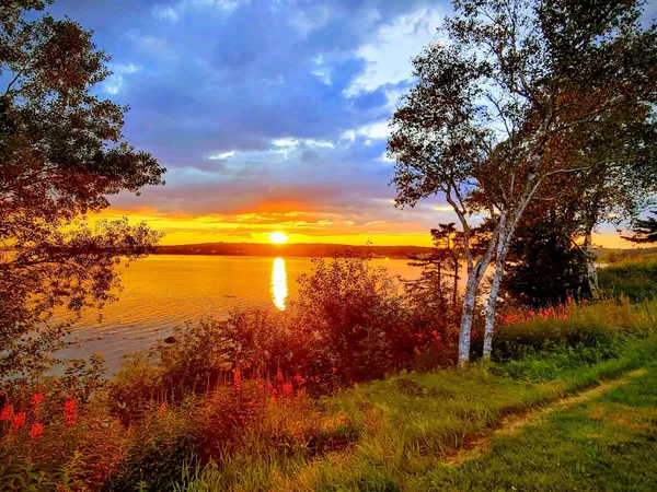 $175,000 | 20 Beachwood Bay Drive, Unit 312, Cutler, ME 04626