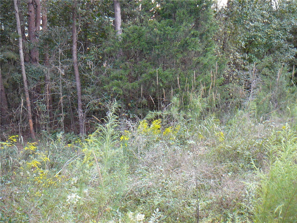 1 Gambrell Road Townville, SC 29689 - Photo 3 of 5 Gallery Image 3