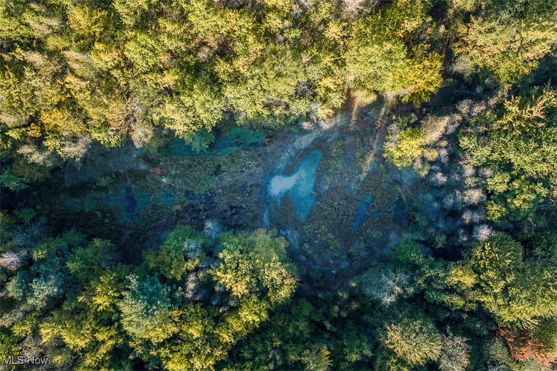 Youngstown Salem Road Salem, OH 44460 - Photo 12 of 18 Drone / aerial view