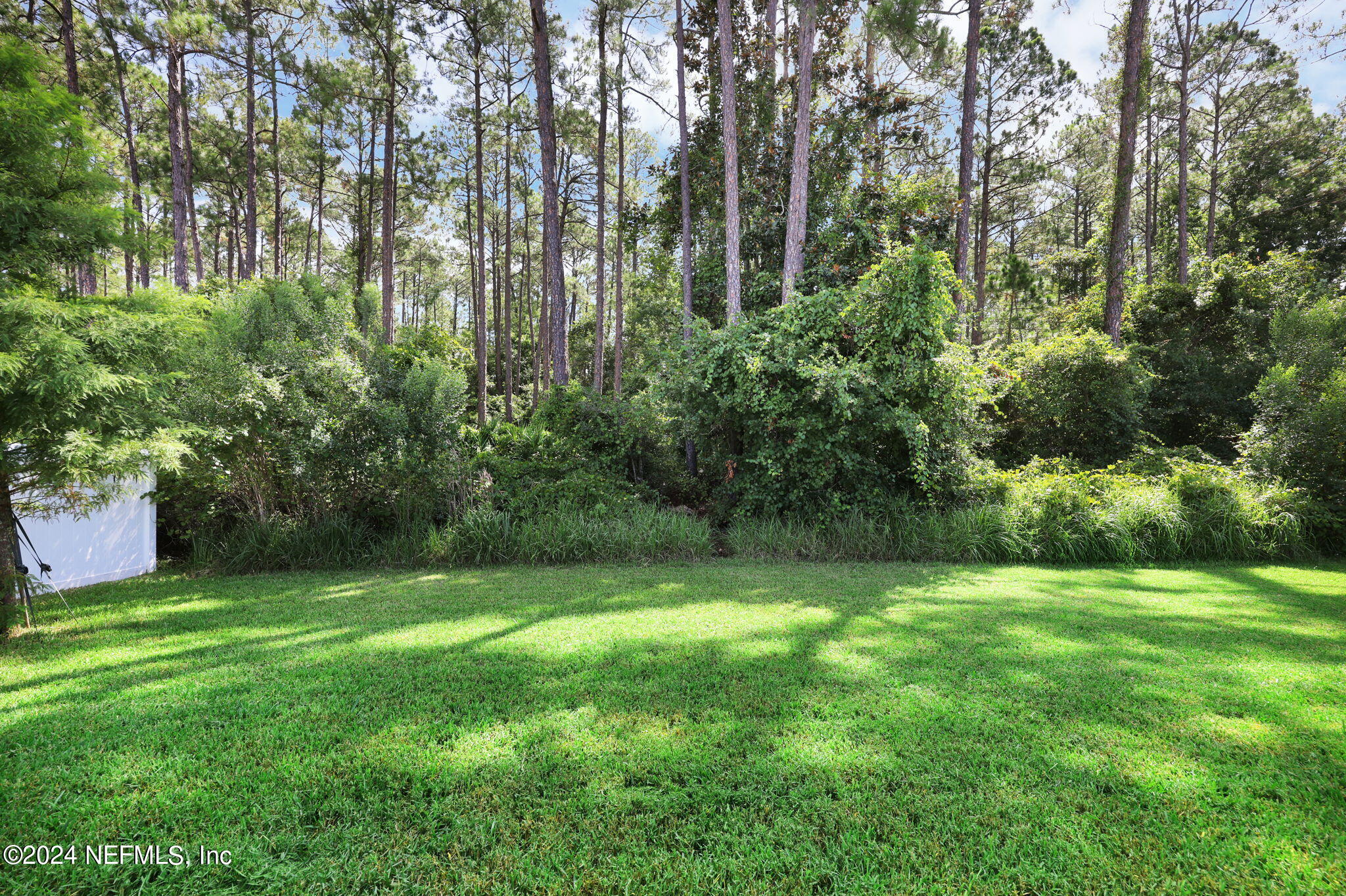 588 Flach Drive St. Johns, FL 32259 - Photo 28 of 43 Back Yard