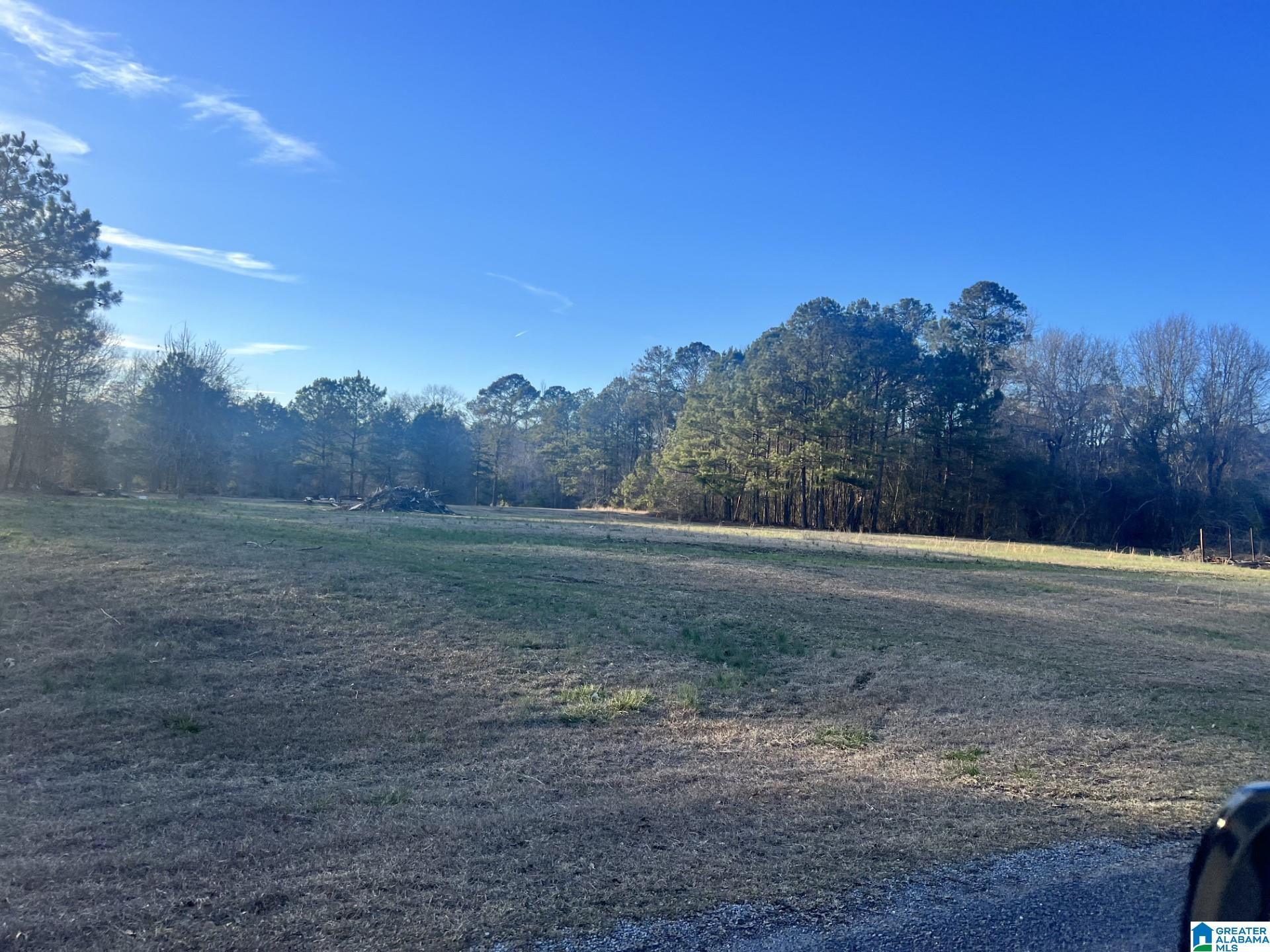 33 Sagebrush Road, Unit 10 Ashville, AL 35953 - Photo 1 of 5