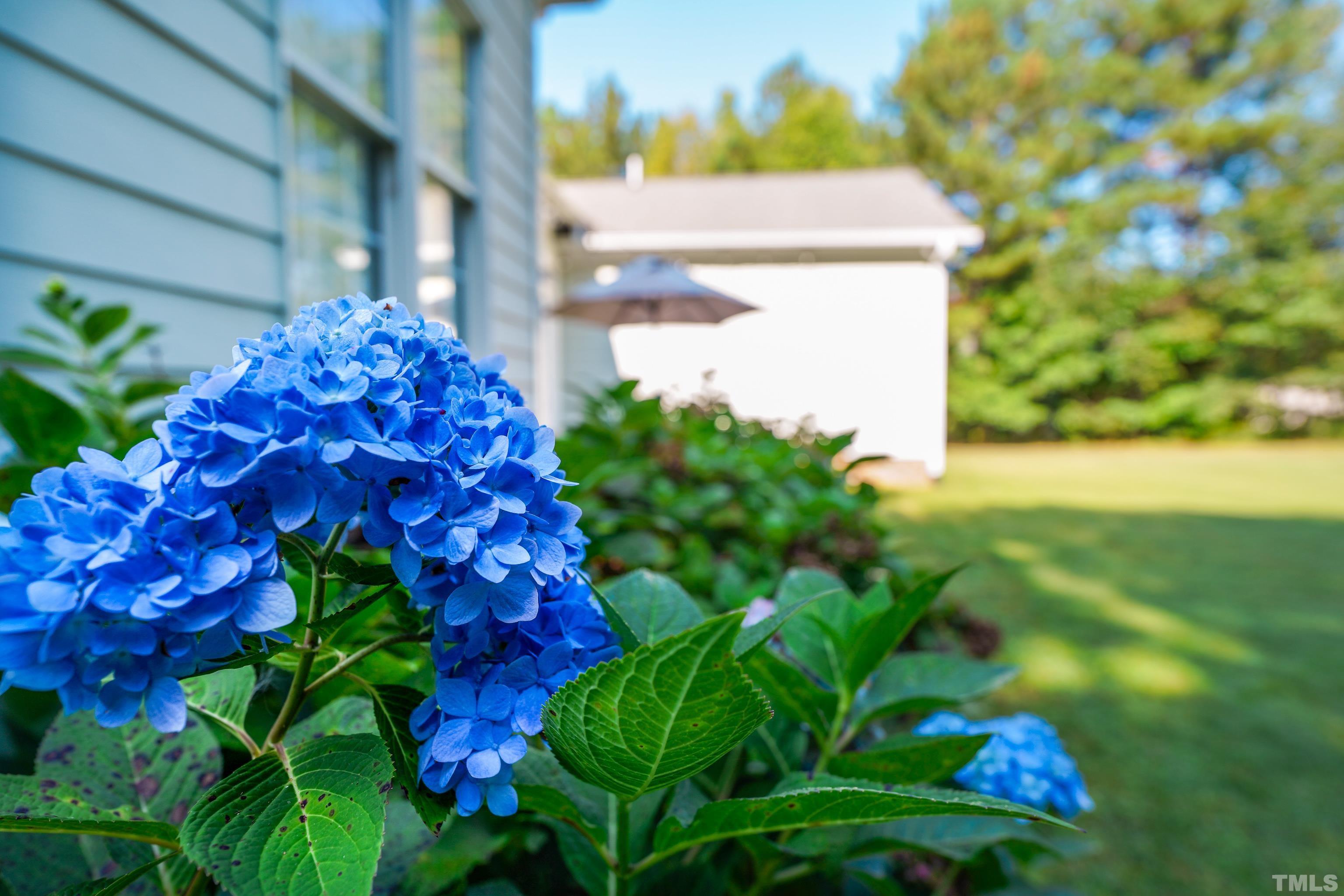 226 Fletcher Ridge Road Timberlake, NC 27583 - Photo 32 of 54 a view of a flower