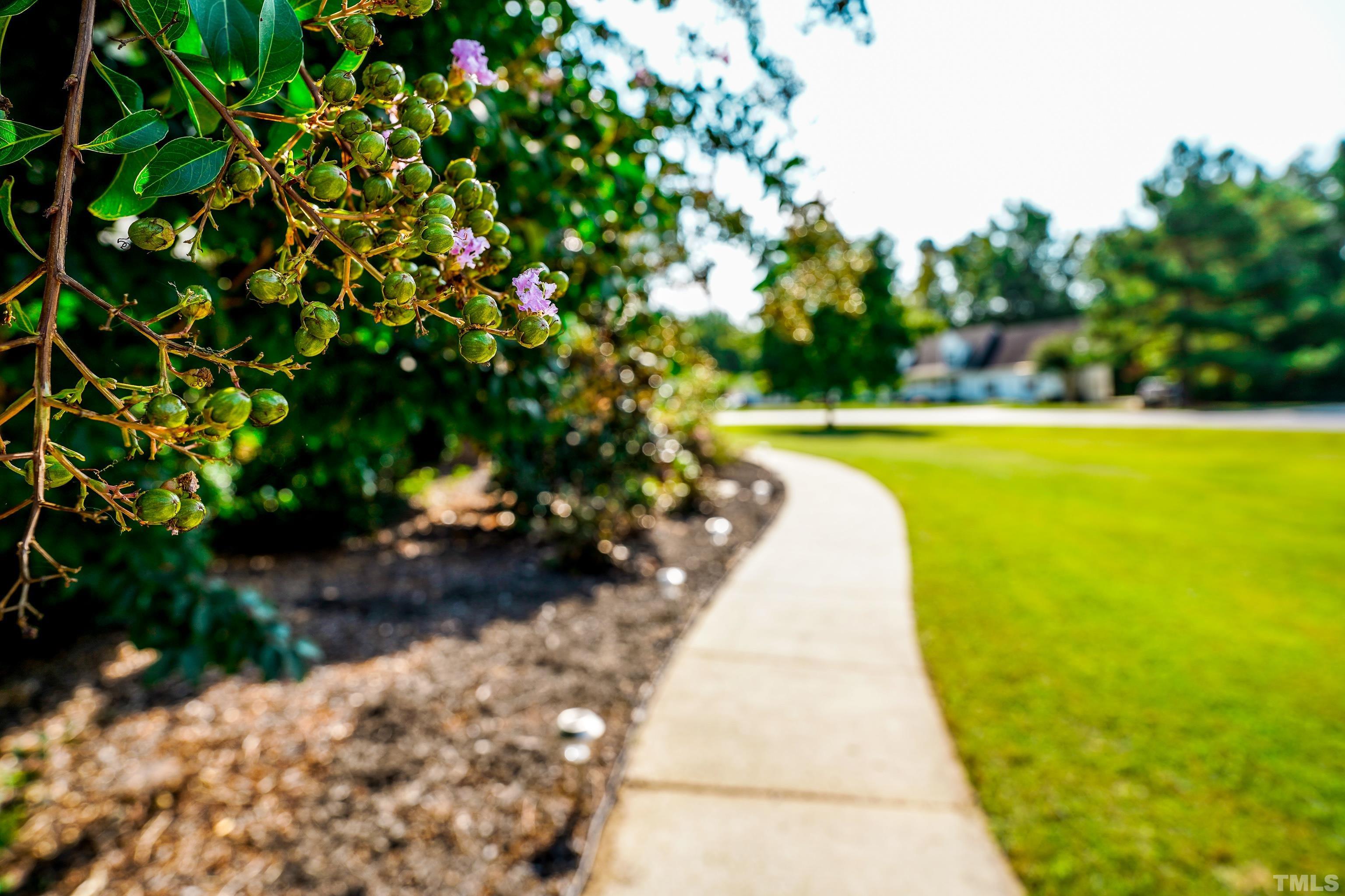 226 Fletcher Ridge Road Timberlake, NC 27583 - Photo 51 of 54 a view of a swimming pool with an outdoor space