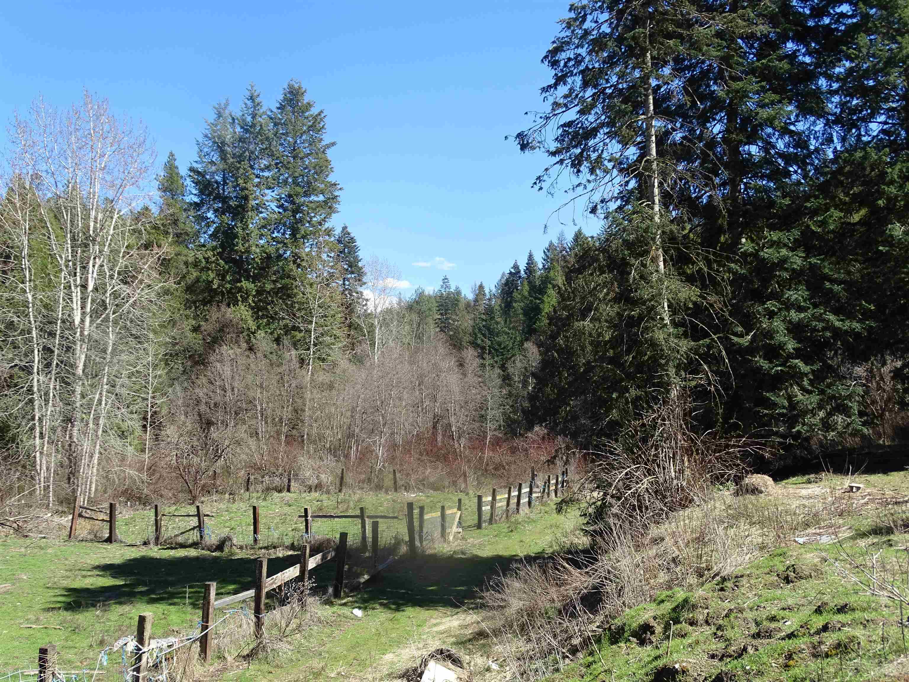 17208 East Blanchard Road Elk, WA 99009 - Photo 6 of 28