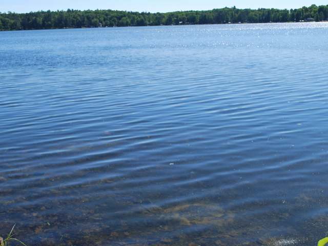 682 Arbutus Road Pickerel, WI 54465 - Photo 3 of 13 Gallery Image 3