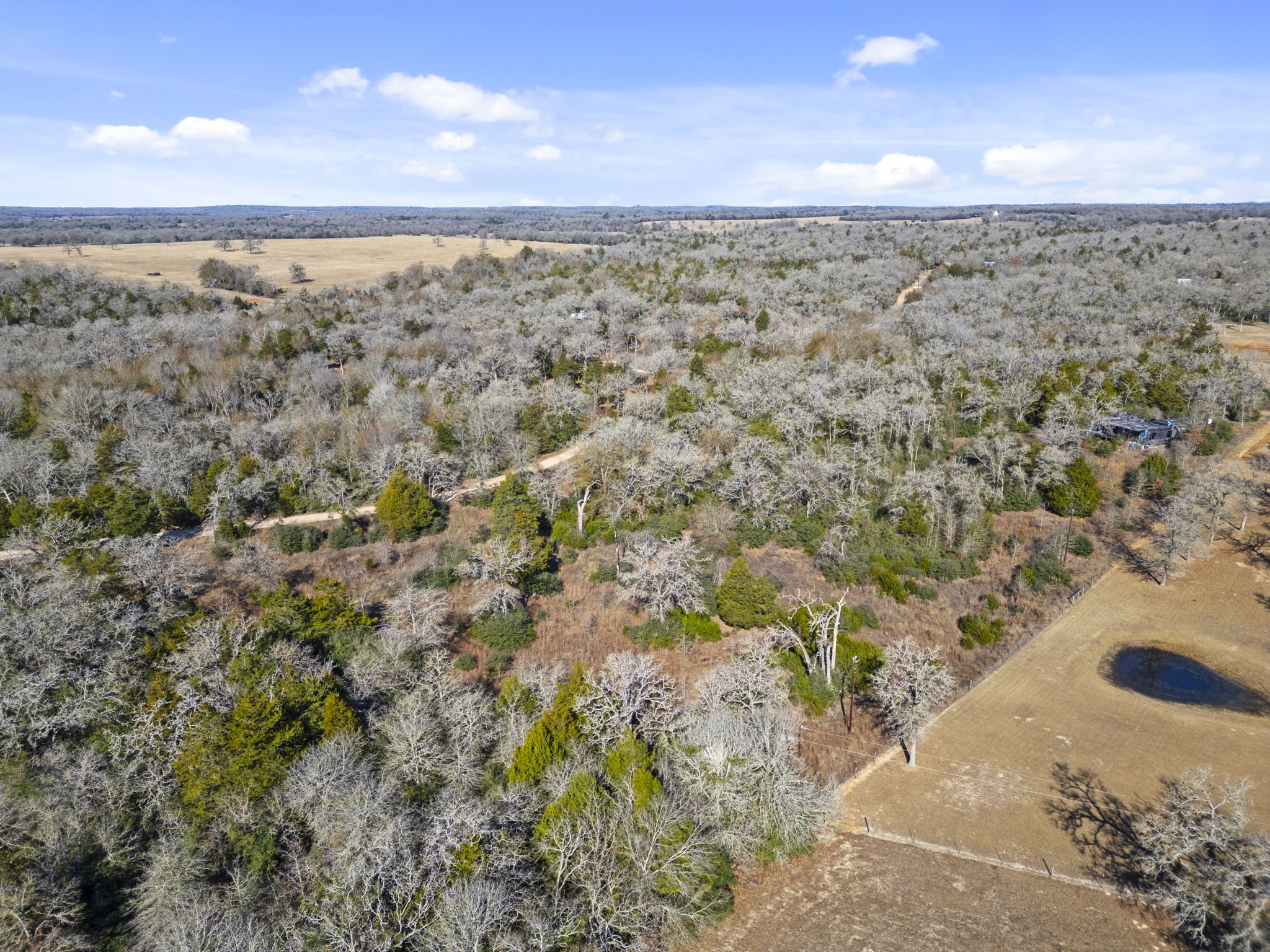 0 Starlight Path Caldwell, TX 77836 - Photo 11 of 16