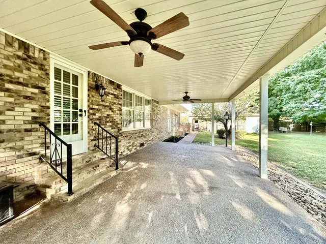 a view of a yard with a large tree