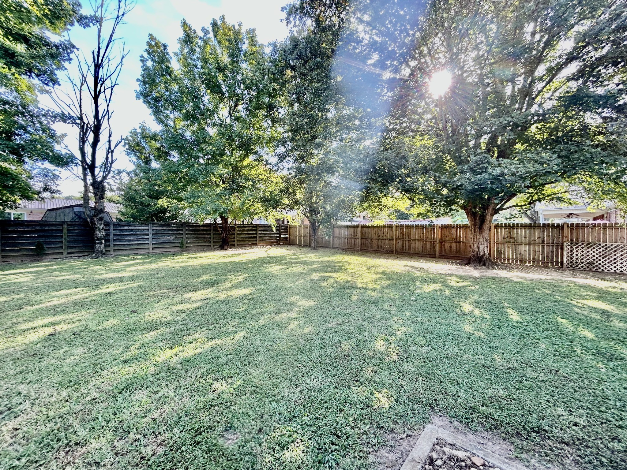 1005 Wilson Lane Pulaski, TN 38478 - Photo 66 of 71 a view of a yard with a large tree