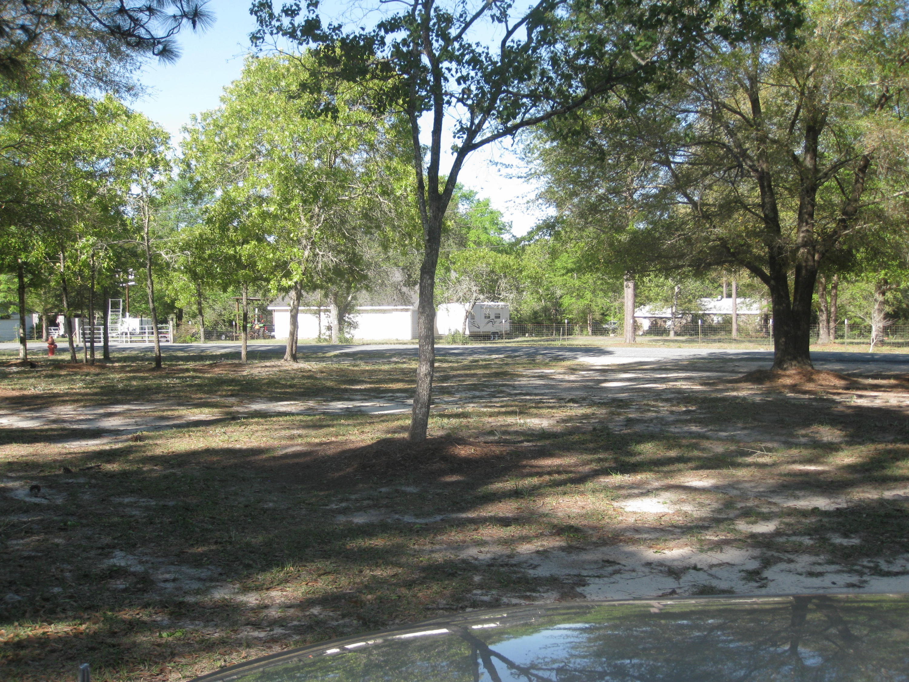 3310 Auburn Road Crestview, FL 32539 - Photo 36 of 44 a fire hydrant in the middle of a yard