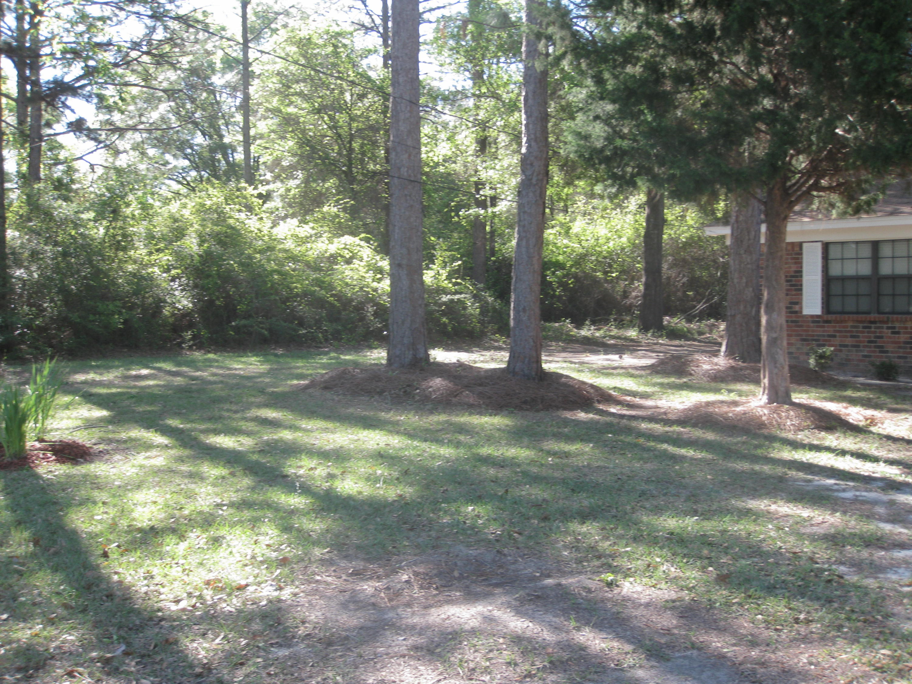 3310 Auburn Road Crestview, FL 32539 - Photo 38 of 44 a view of outdoor space with trees