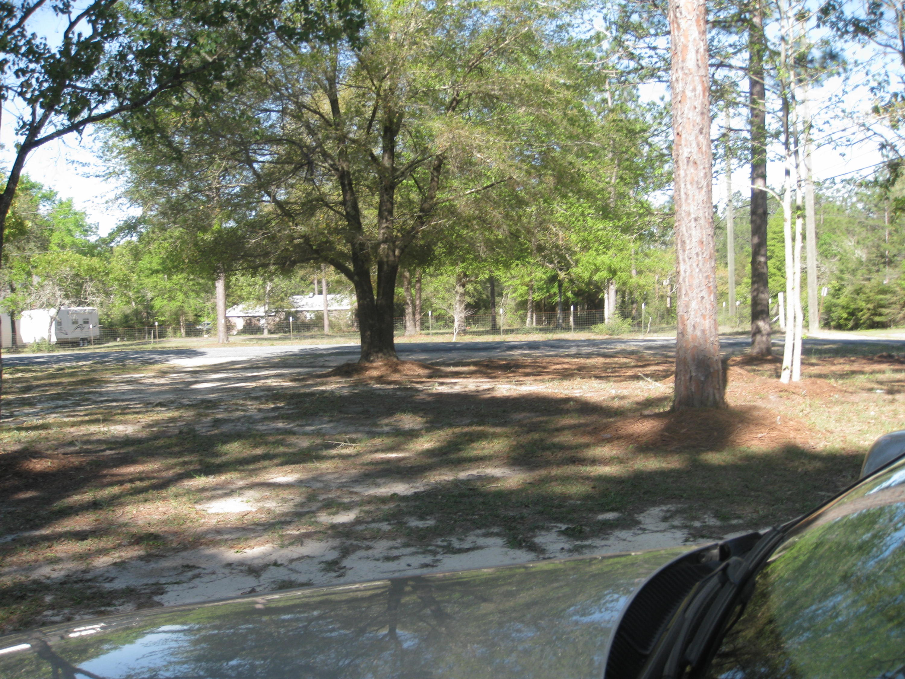 3310 Auburn Road Crestview, FL 32539 - Photo 42 of 44 a view of a yard with plants and trees