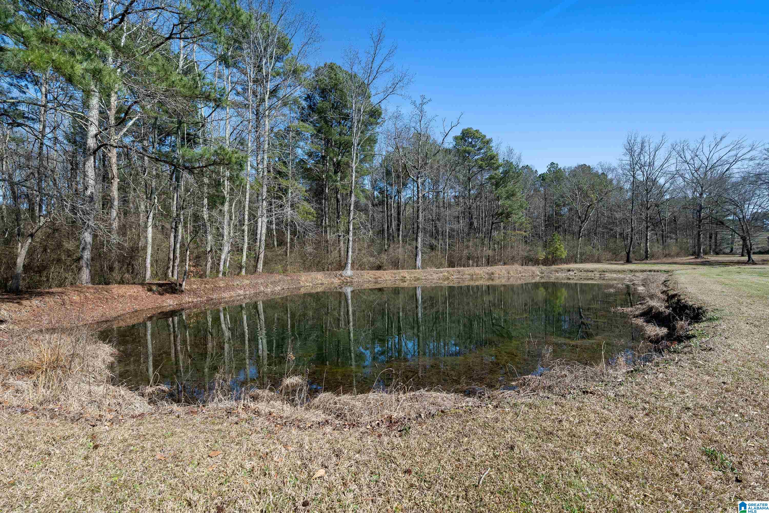 66 Stricklin Road Cullman, AL 35057 - Photo 47 of 60