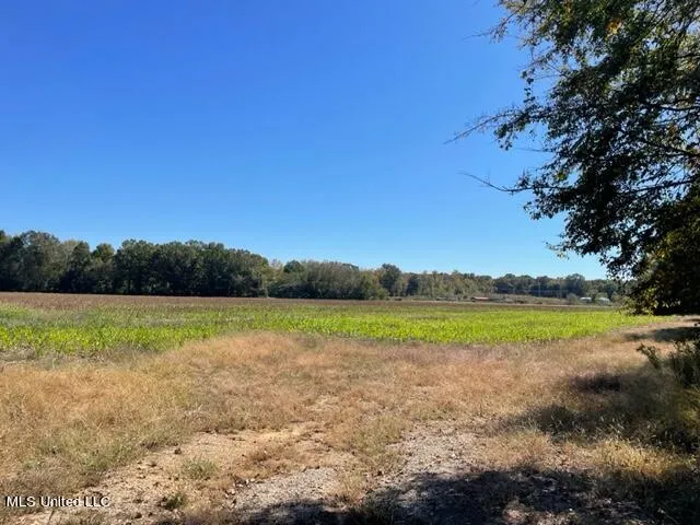 $190,000 | 0 Rowell Road, Coldwater, MS 38618
