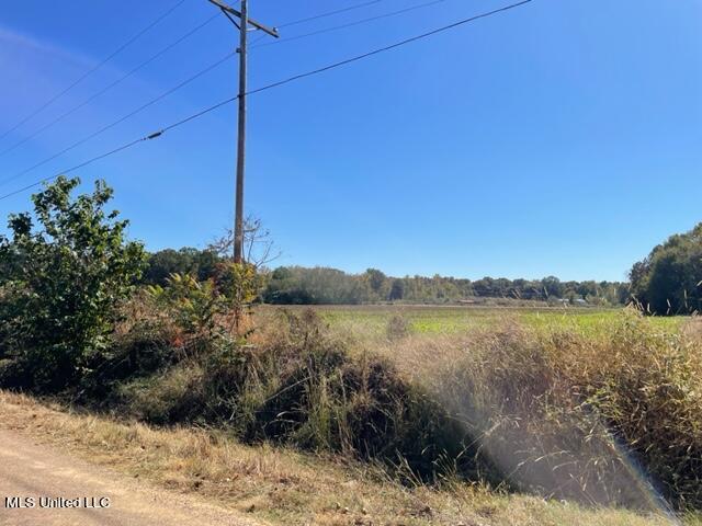 0 Rowell Road Coldwater, MS 38618 - Photo 3 of 4 IMG_2577