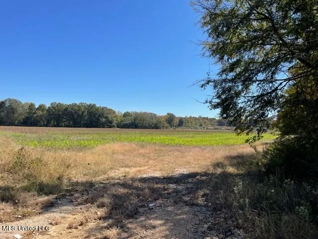 $190,000 | 0 Rowell Road, Coldwater, MS 38618