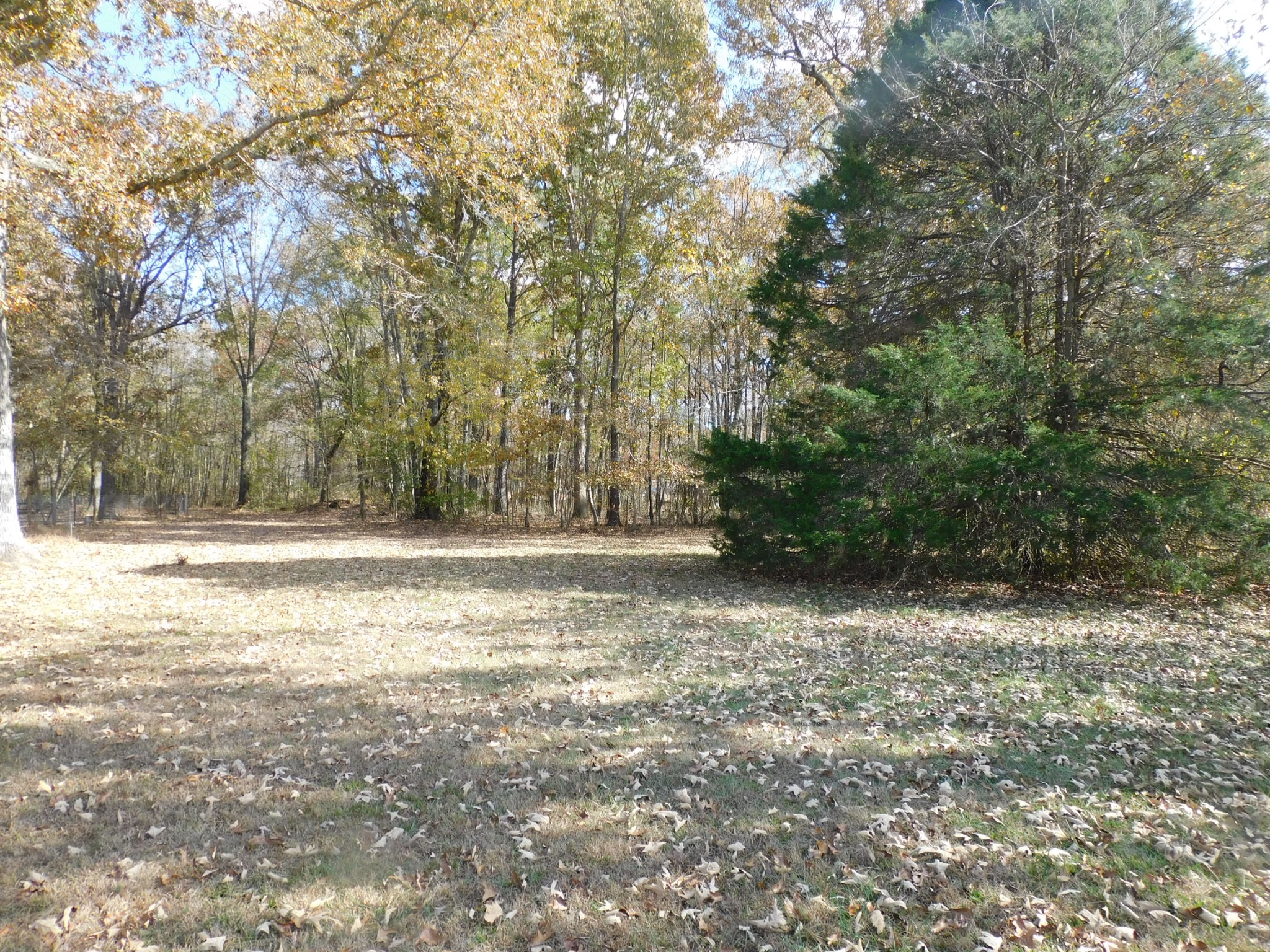 270 Wright Road Manchester, TN 37355 - Photo 14 of 20 a view of a yard with a tree