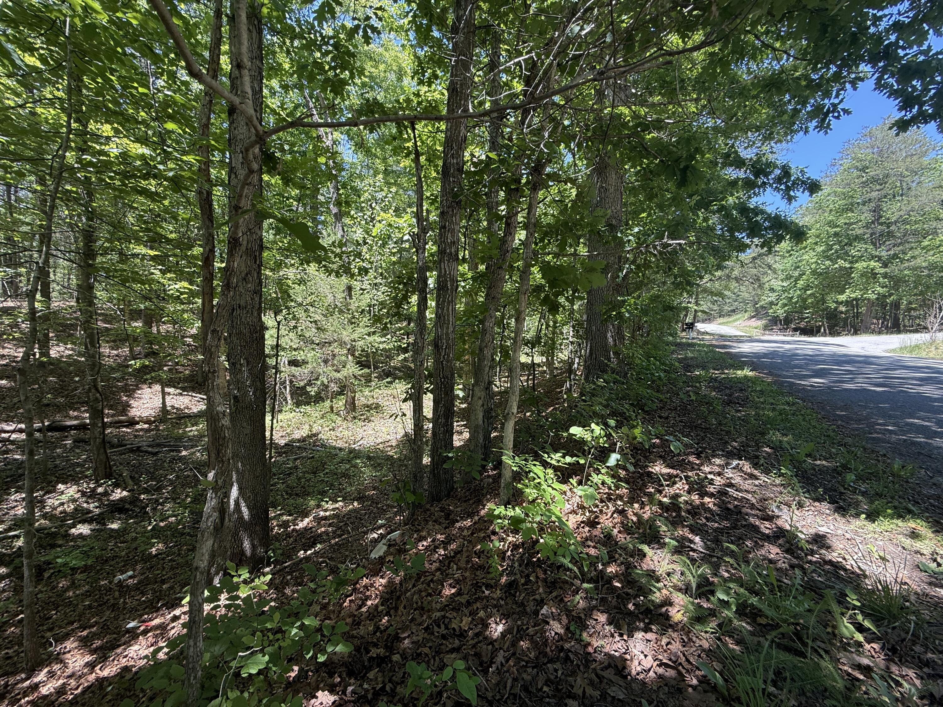 3422 Carvins Cove Road Salem, VA 24153 - Photo 3 of 4 IMG_2352