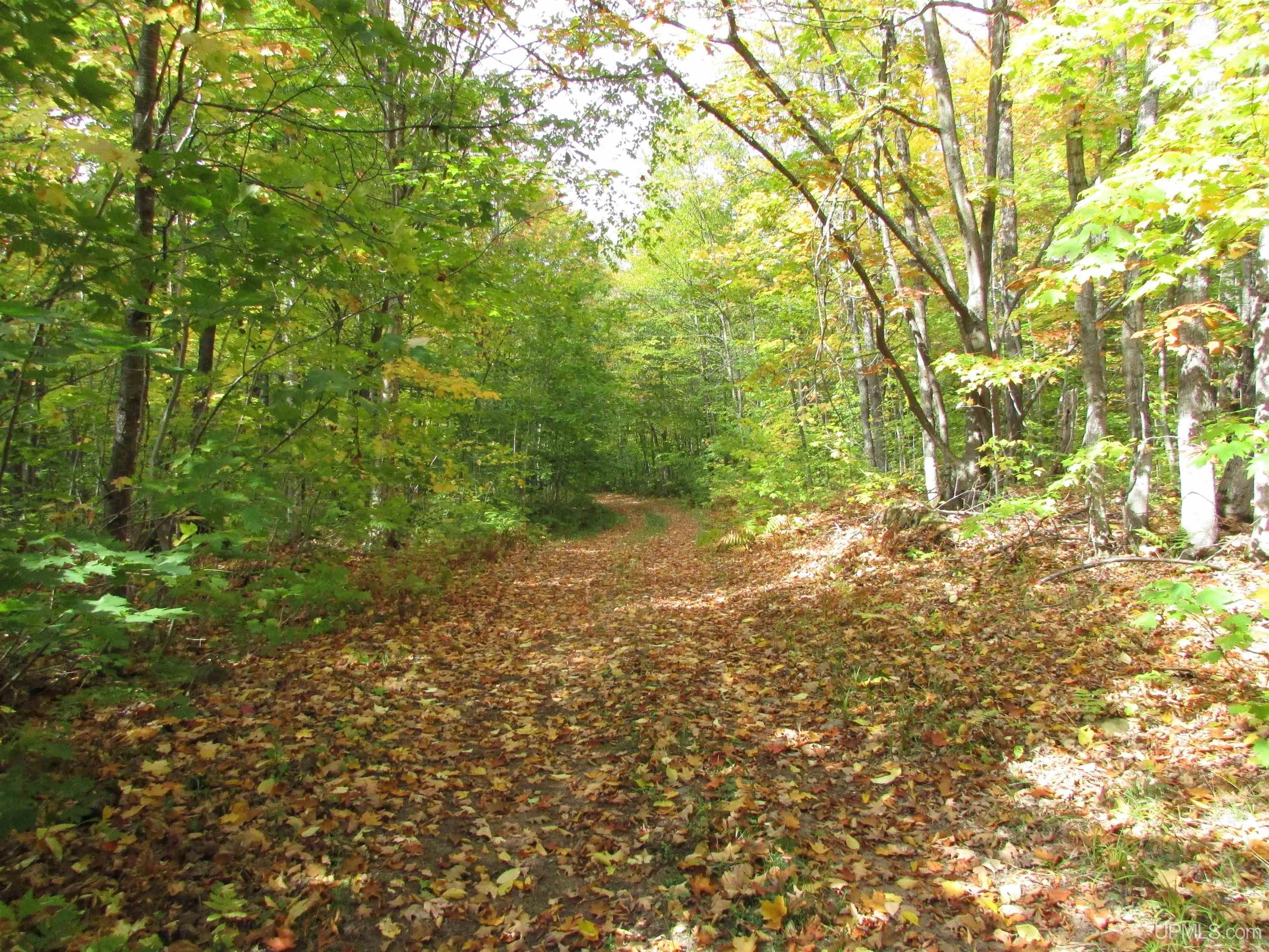 Tbd Donken Road Toivola, MI 49965 - Photo 1 of 11 Gallery Image 1