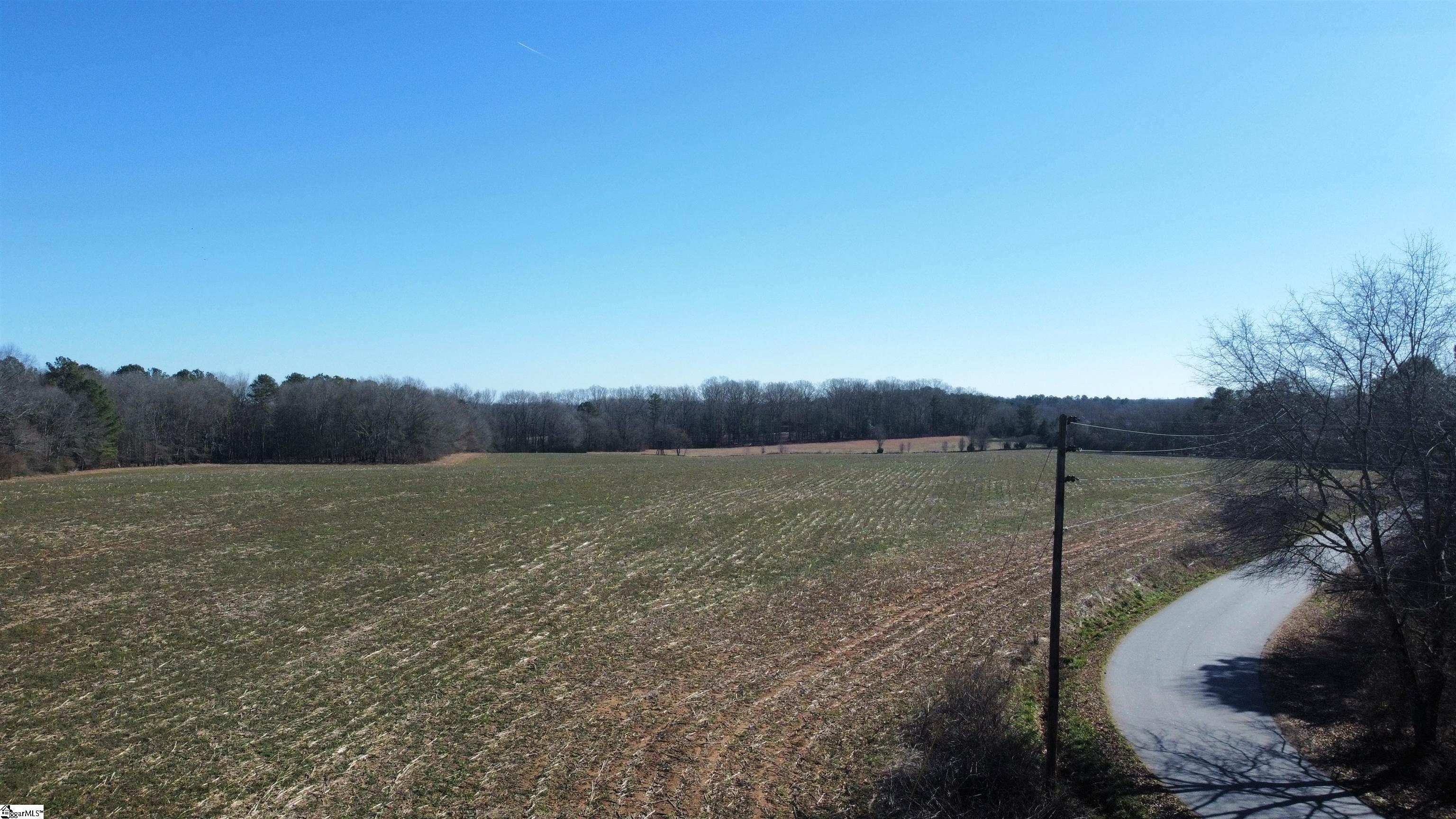 3 Snow Road Pelzer, SC 29669 - Photo 11 of 12