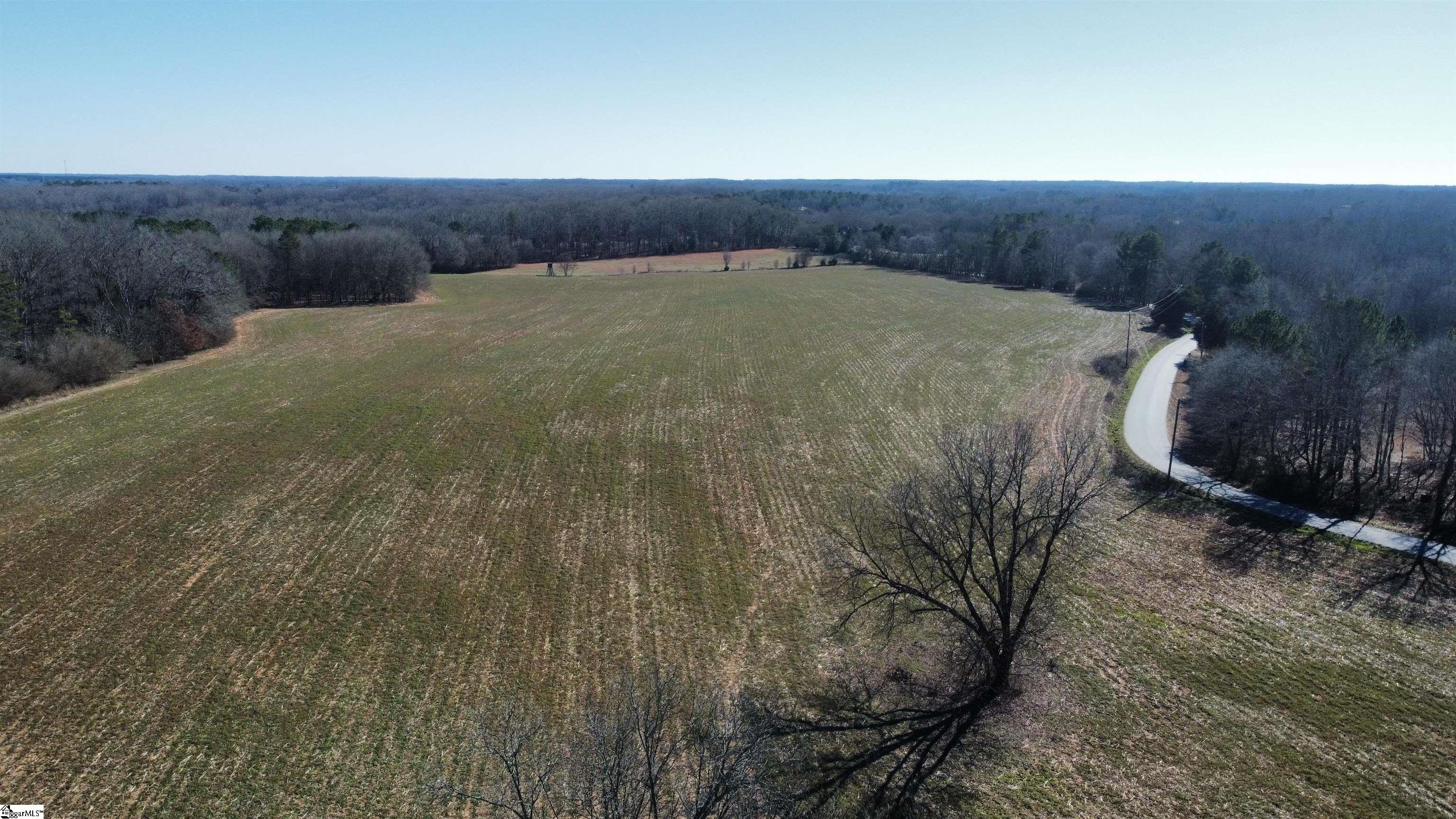 3 Snow Road Pelzer, SC 29669 - Photo 5 of 12