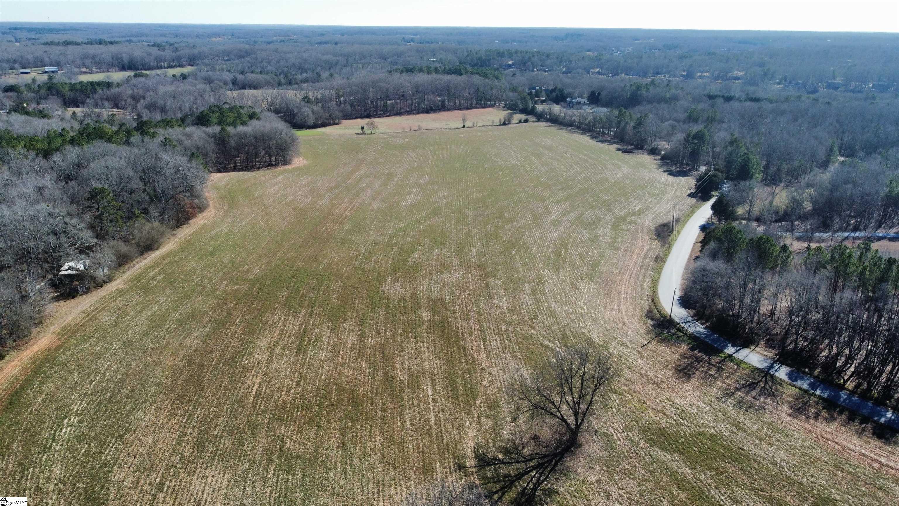 3 Snow Road Pelzer, SC 29669 - Photo 6 of 12