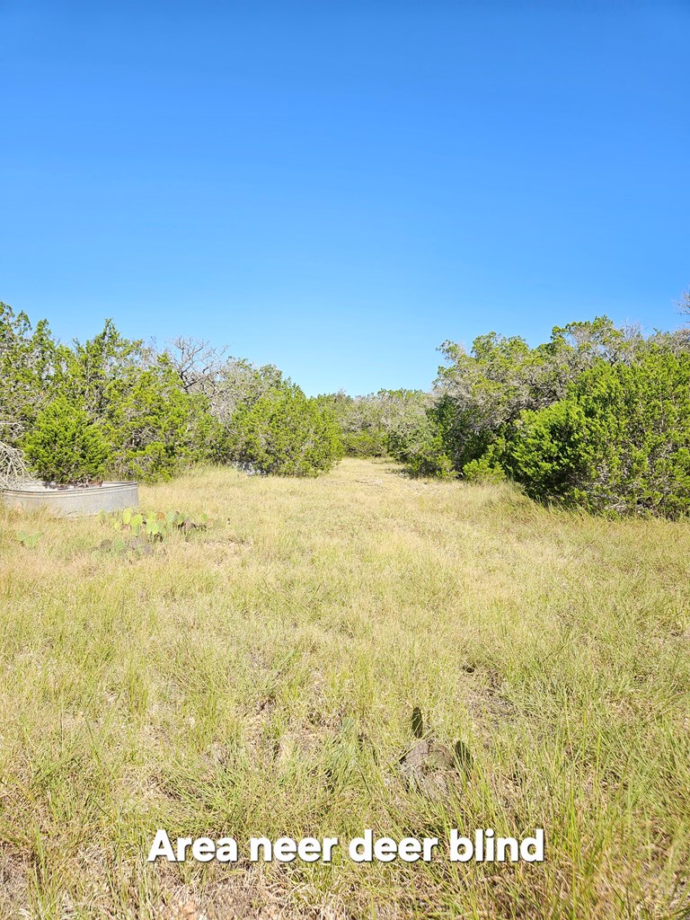 301 Cross Cut Road Hunt, TX 78024 - Photo 24 of 35