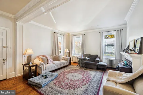 a living room with furniture or couch and a fireplace
