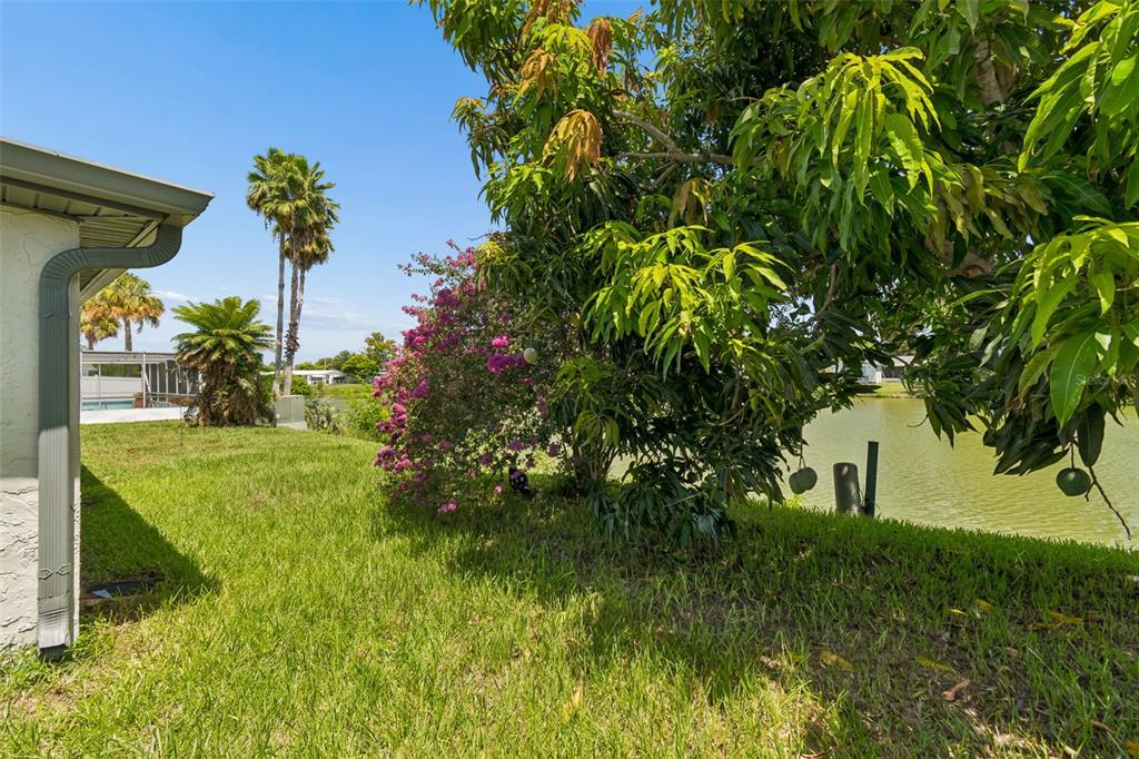 7407 Populus Drive Port Richey, FL 34668 - Photo 69 of 94 Gallery Image 69