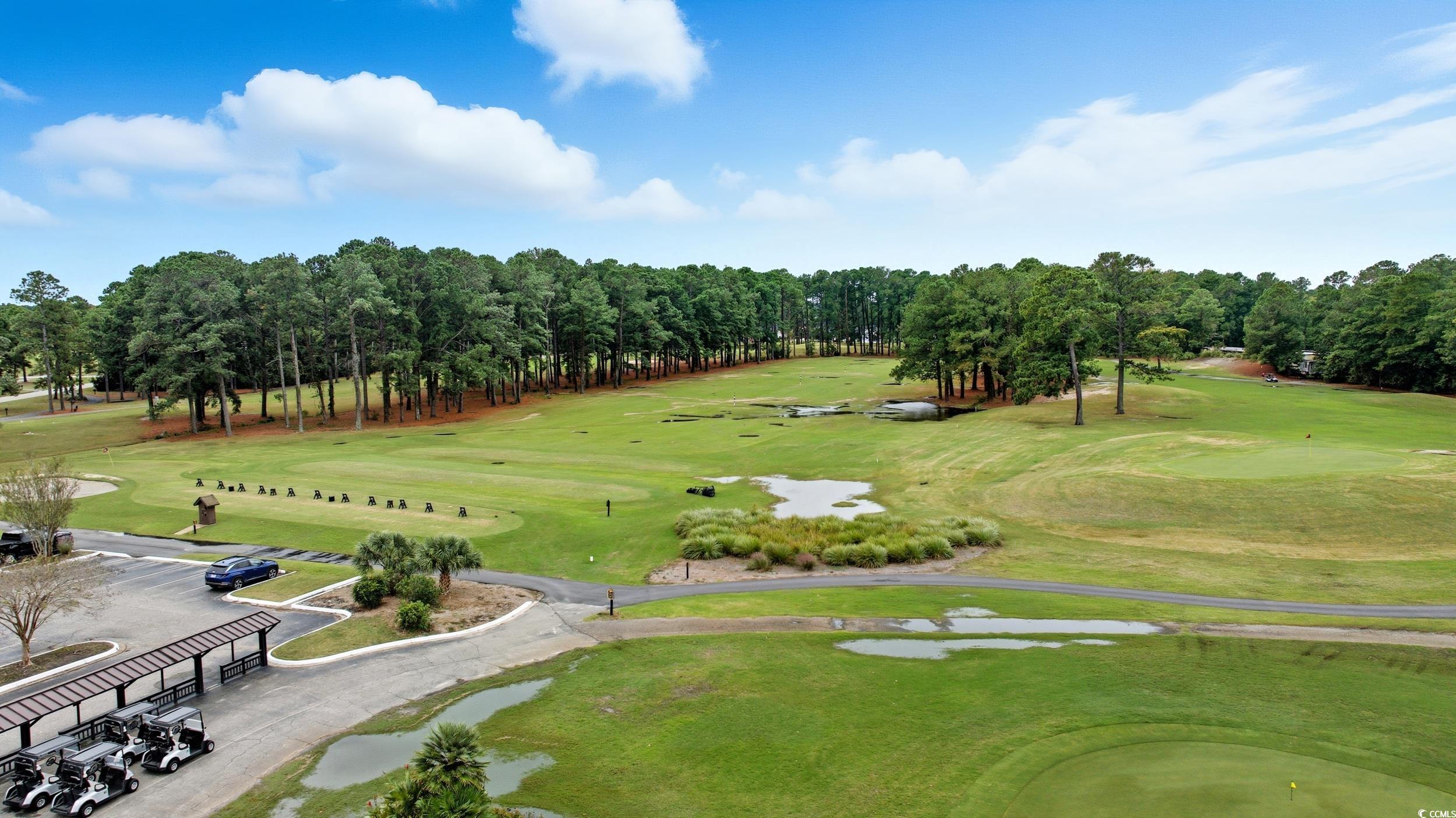 1705 Brookshade Court Conway, SC 29526 - Photo 40 of 40 View of home's community featuring golf course view, view of scattered trees, a yard, and a water view
