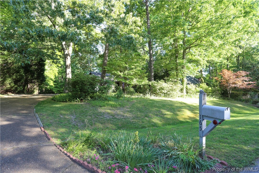 165 Devon Road Williamsburg, VA 23188 - Photo 4 of 40 Gallery Image 4