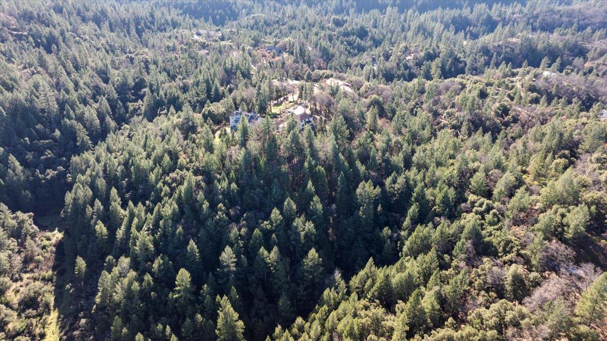 21895 One Fine Place Colfax, CA 95713 - Photo 64 of 81