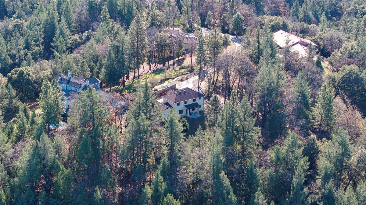 21895 One Fine Place Colfax, CA 95713 - Photo 65 of 81 a view of a house in a forest