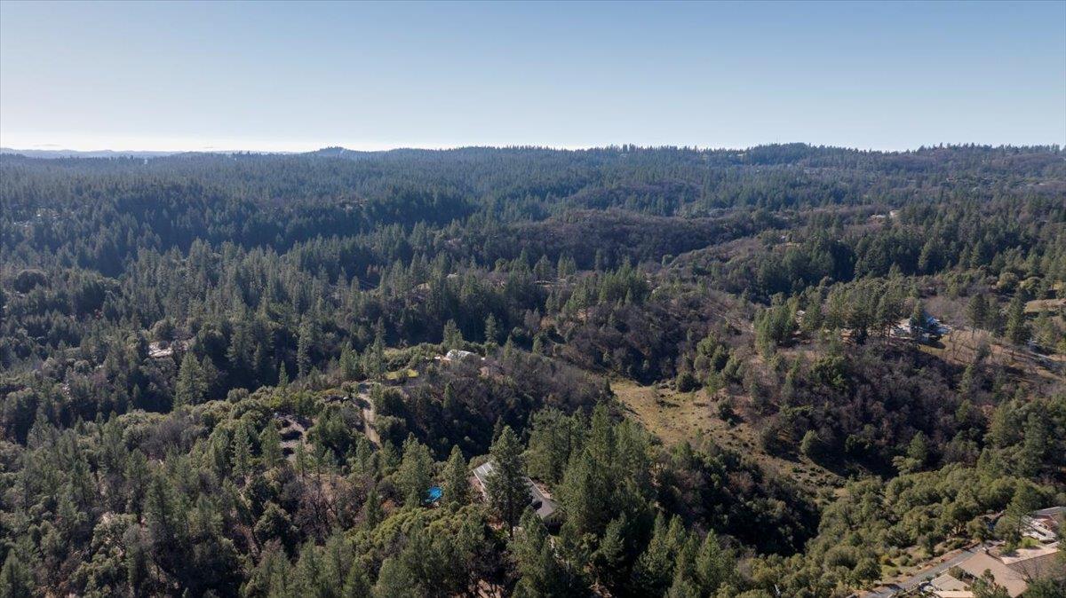 21895 One Fine Place Colfax, CA 95713 - Photo 66 of 81 a view of a forest with mountains in the background