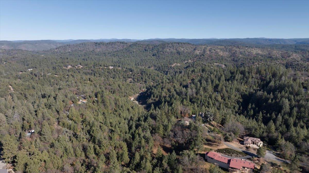 21895 One Fine Place Colfax, CA 95713 - Photo 70 of 81 a view of a city with lush green forest