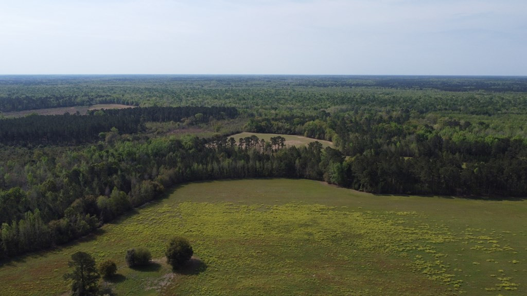 3150 June Burn Road Manning, SC 29102 - Photo 3 of 7 Gallery Image 3