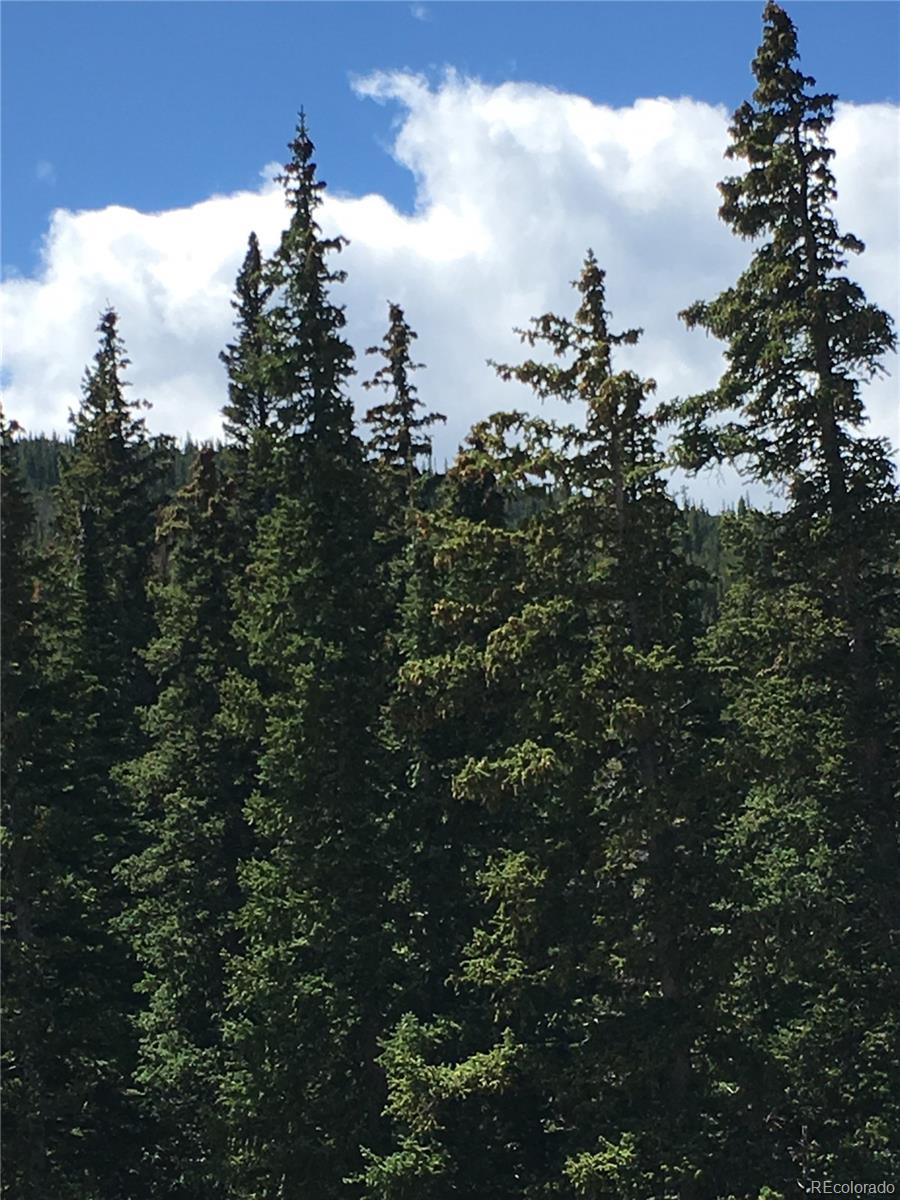 411 Forest Service Road Black Hawk, CO 80422 - Photo 11 of 27 Gallery Image 11