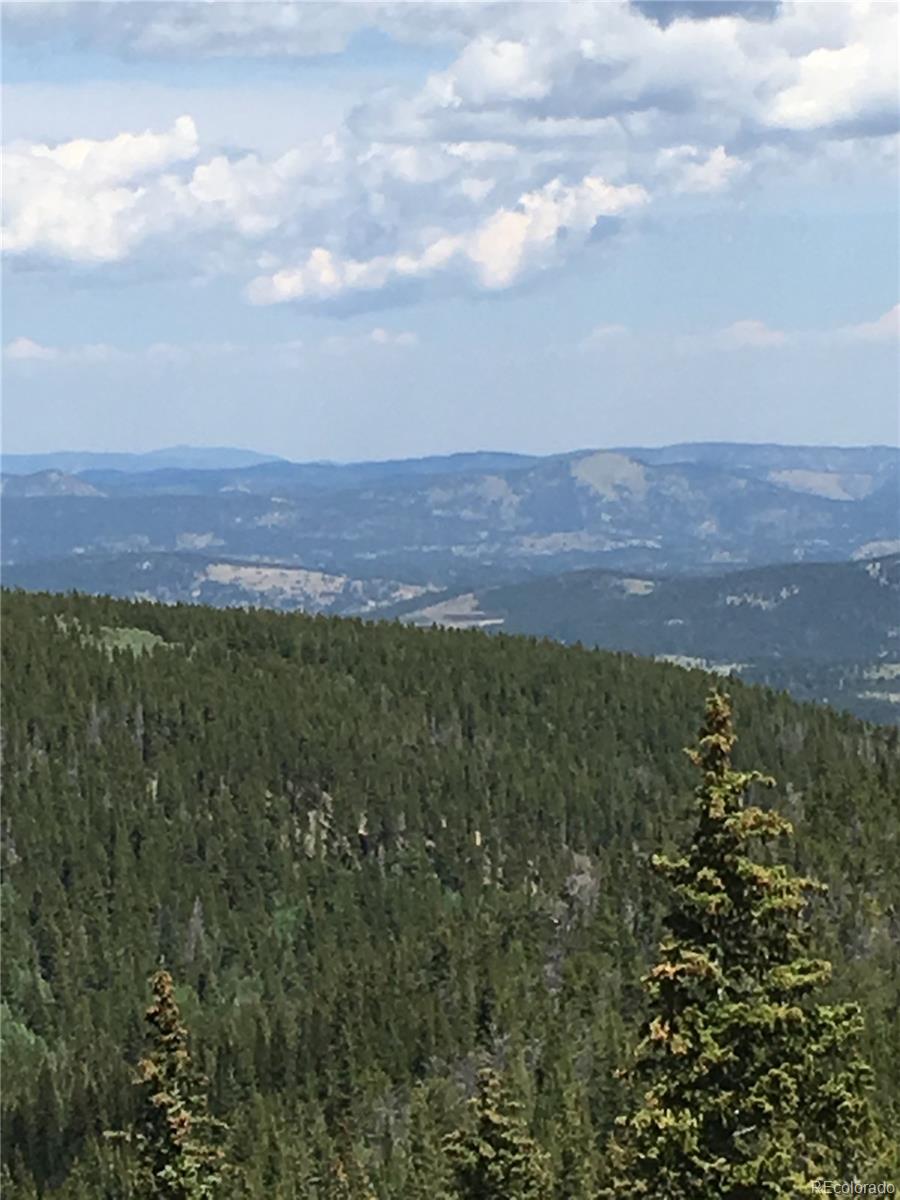 411 Forest Service Road Black Hawk, CO 80422 - Photo 12 of 27 Gallery Image 12