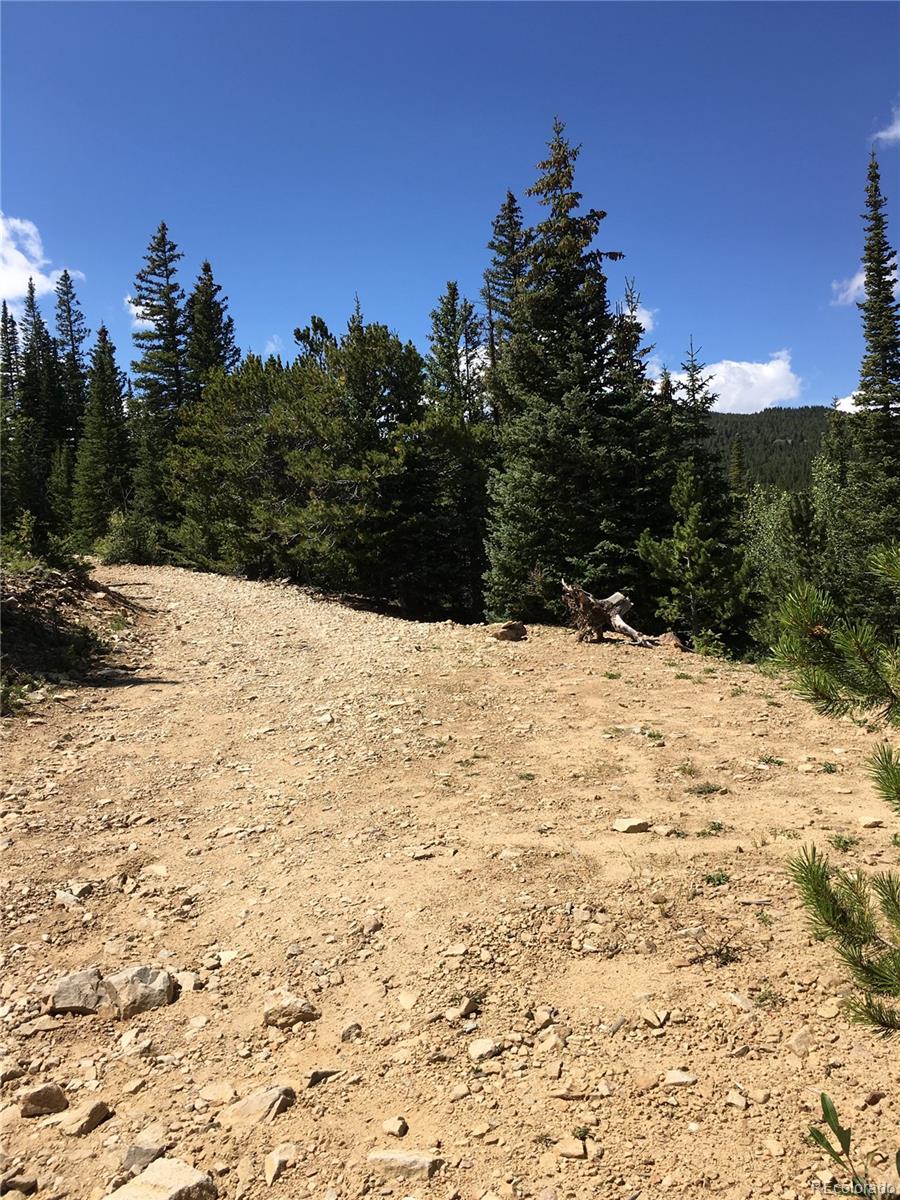 411 Forest Service Road Black Hawk, CO 80422 - Photo 13 of 27 Gallery Image 13