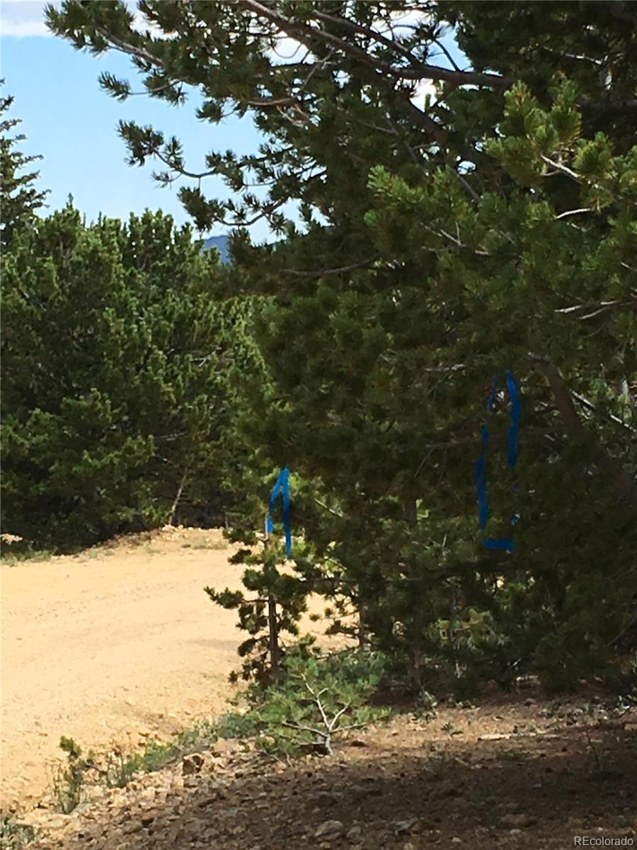 411 Forest Service Road Black Hawk, CO 80422 - Photo 14 of 27 Gallery Image 14