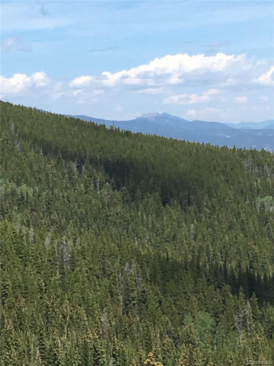 411 Forest Service Road Black Hawk, CO 80422 - Photo 15 of 27 Gallery Image 15