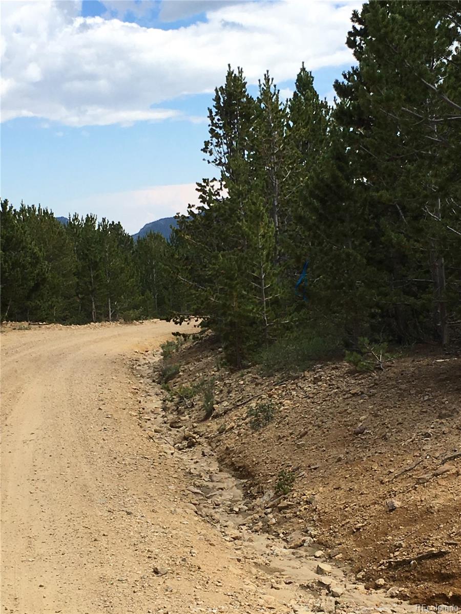 411 Forest Service Road Black Hawk, CO 80422 - Photo 16 of 27 Gallery Image 16