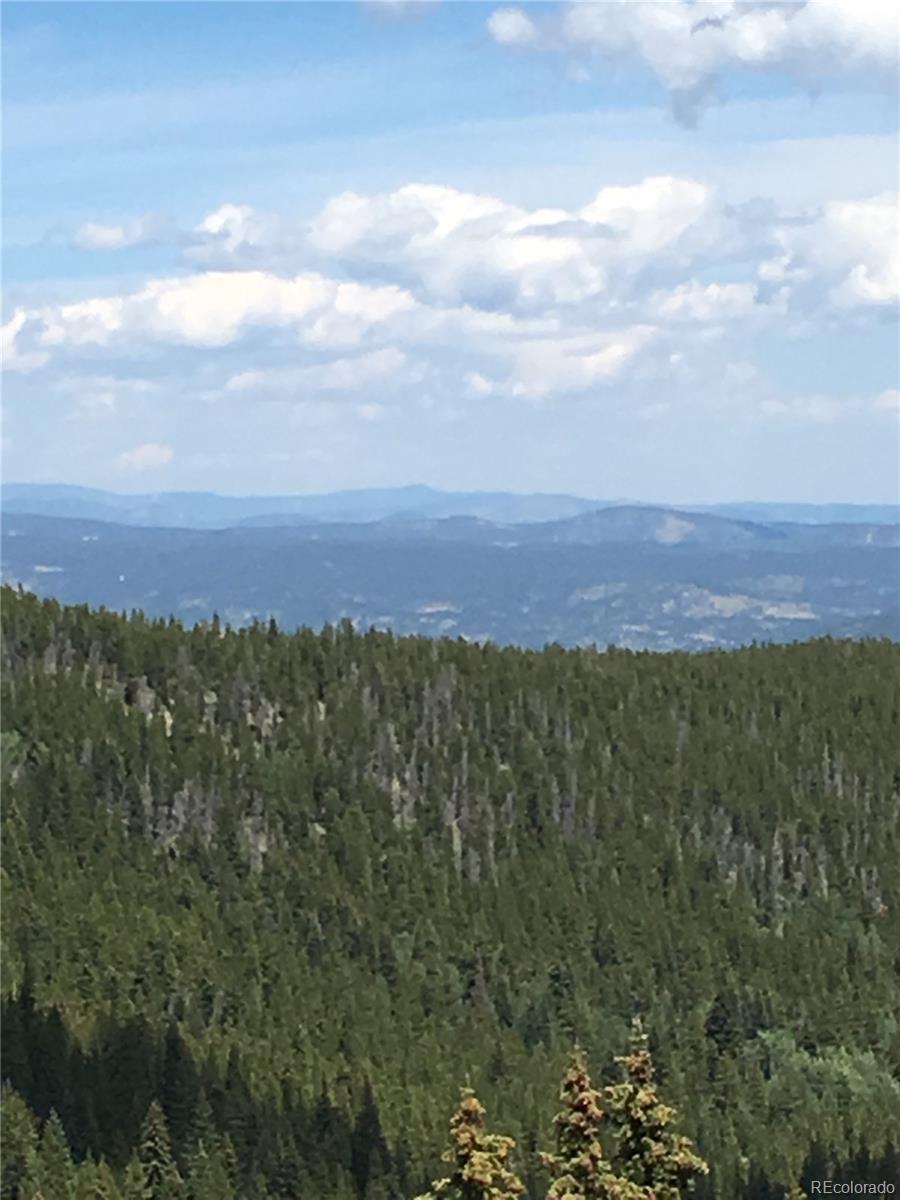411 Forest Service Road Black Hawk, CO 80422 - Photo 17 of 27 Gallery Image 17